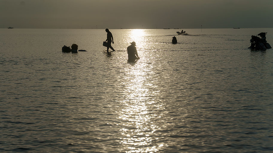 Ben Tre Clam sundown Clam gatherers in water at sundown, Ben Tre, Vietnam