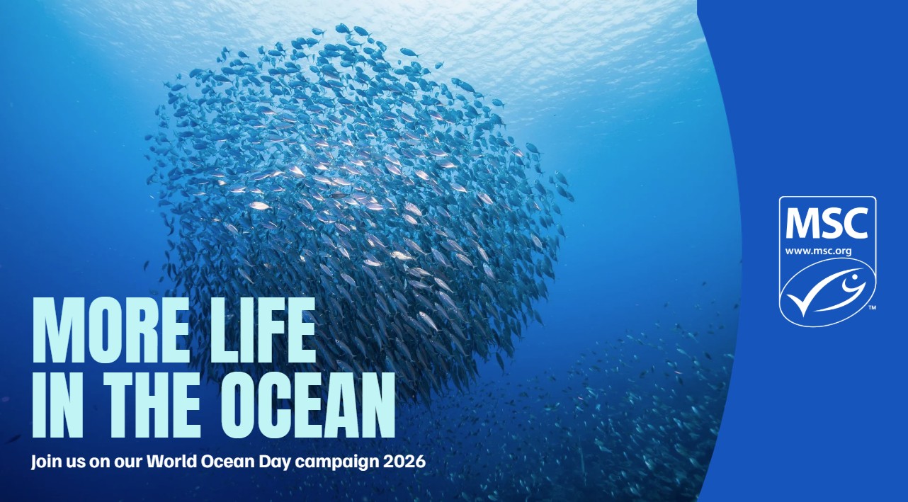 cover WOD playbook 2026