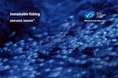 World Ocean Day - Video background - 01