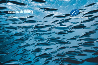 World Ocean Day - Video background - 02