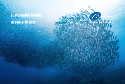 World Ocean Day - Video background - 03
