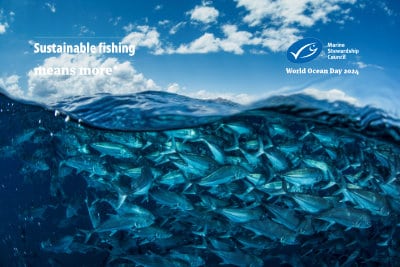 World Ocean Day - Video background - 04