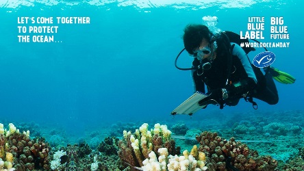 Diver with clipboard in front of coral, with MSC logo and World Ocean Day message