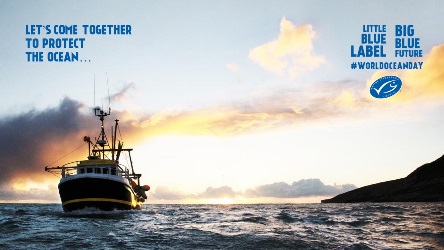 Large fishing vessel on water facing camera at sunset, with MSC logo and World Ocean Day message
