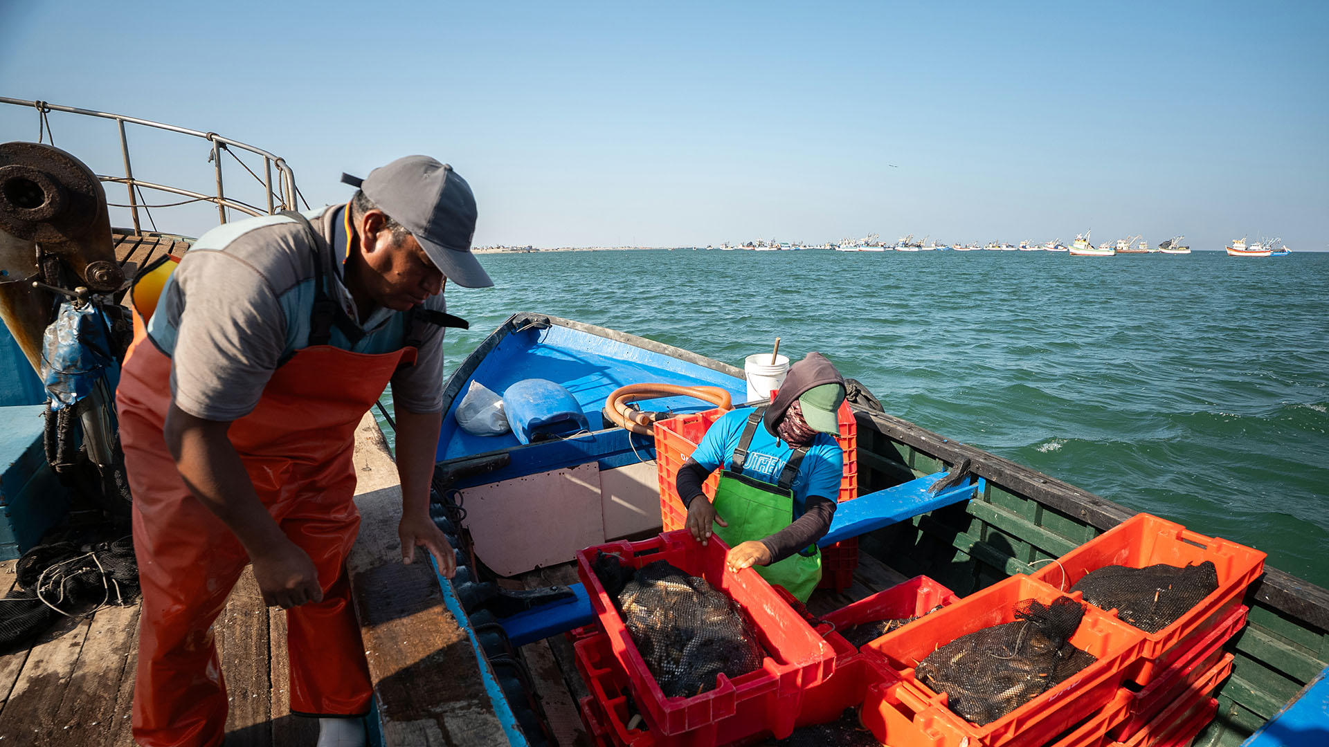 How do we incentivise improving fisheries to keep progressing?