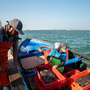 How do we incentivise improving fisheries to keep progressing?