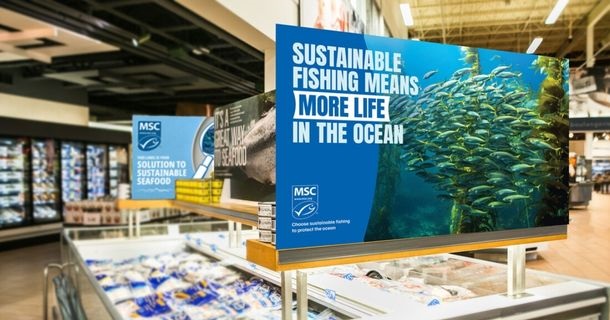 In-store and print materials