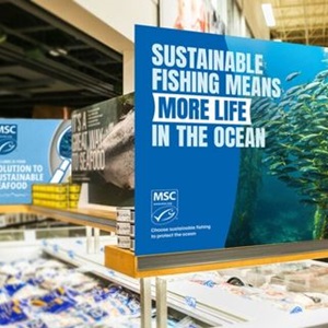 MSC Norway marks World Ocean Day 2026 through digital campaign