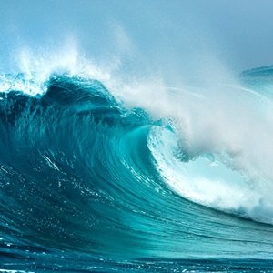 5 Simple Actions to Protect the Ocean