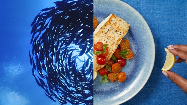 A foodie's guide to halibut