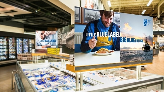 Key Findings at a Glance