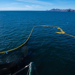 Managing Bycatch