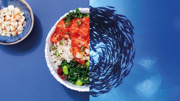Healthy Oceans Too Cookbook
