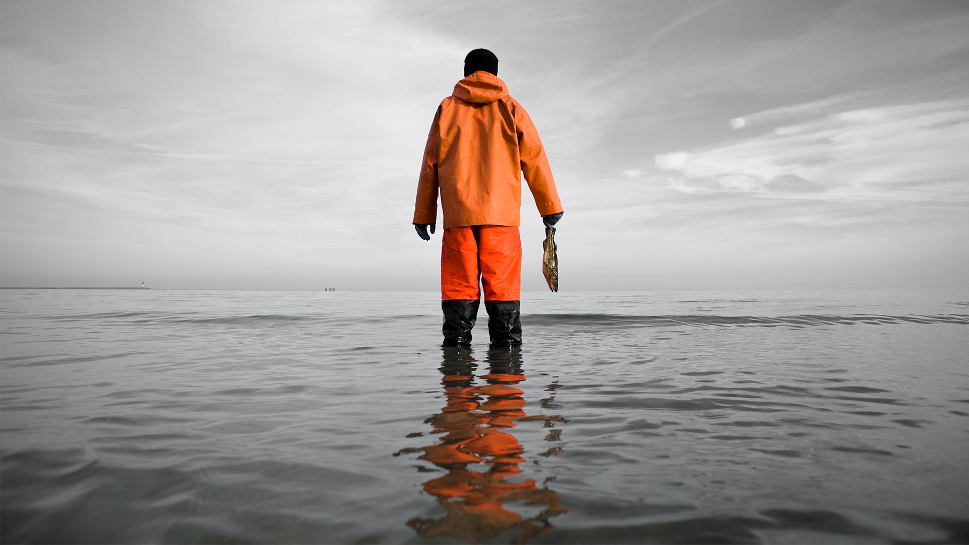 Weathering the Storm: The Impact of COVID on Fisheries and Fishermen 