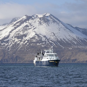 Climate Change & Fishing