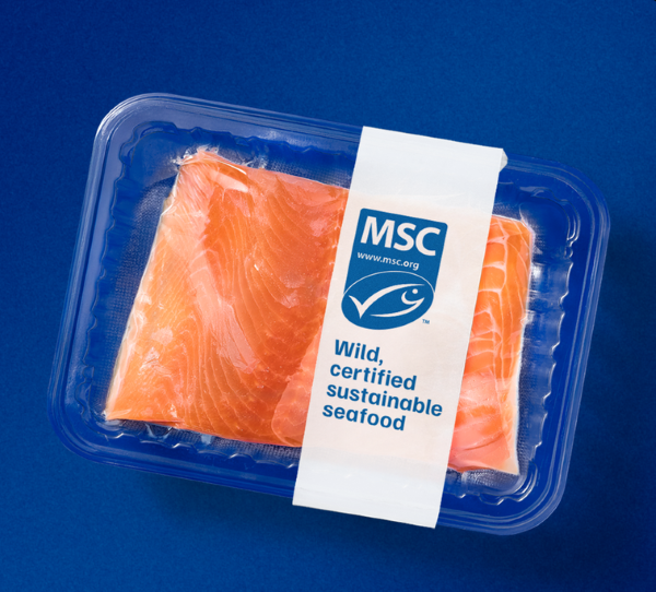 MSC certified sustainable salmon filet