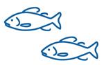 fish small
