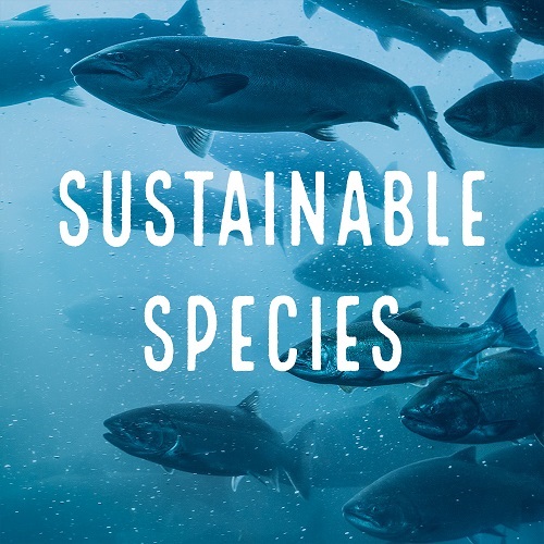 Sustainable Species in North America
