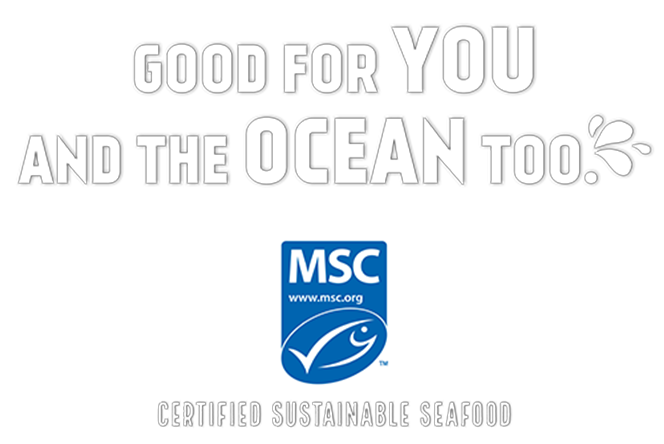 MSC logo lockup with slogan 