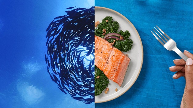 Sustainable Seafood Supports Healthy Oceans