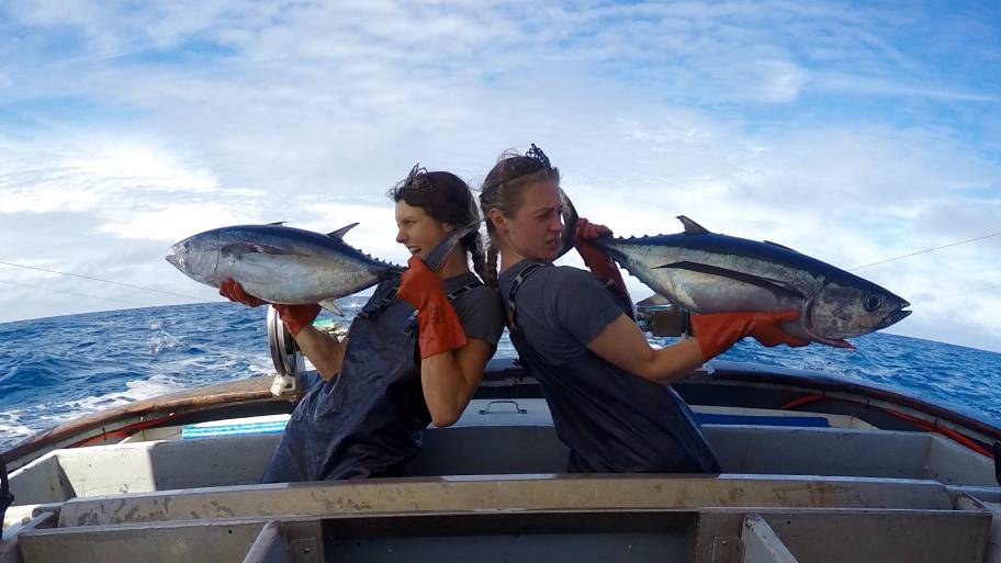 Celebrating a Sustainable Kitchen Staple