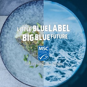 MSC's Vision of a #BigBlueFuture 