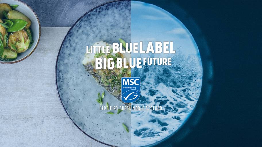 MSC's Vision of a #BigBlueFuture 