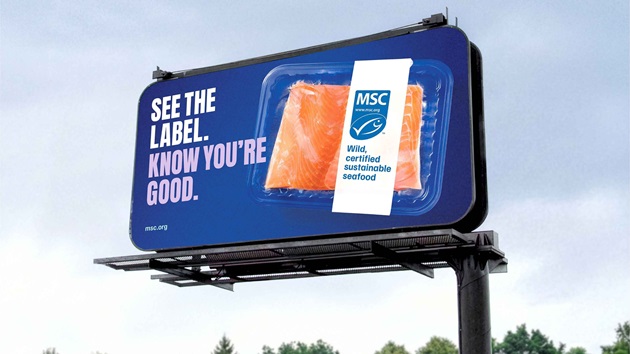 Ready-to-Use Visuals