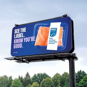 Three things that make MSC certified salmon good for the ocean