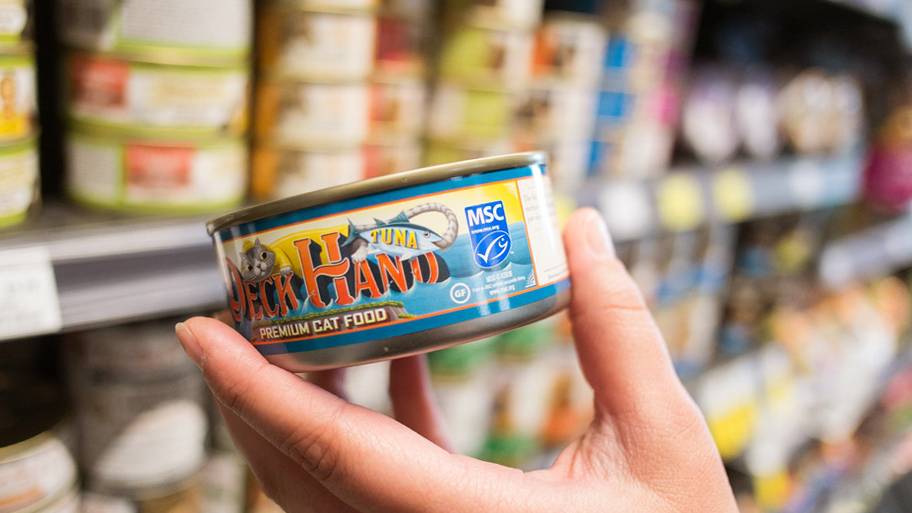 How To Protect the Ocean From the Comfort of Your Kitchen