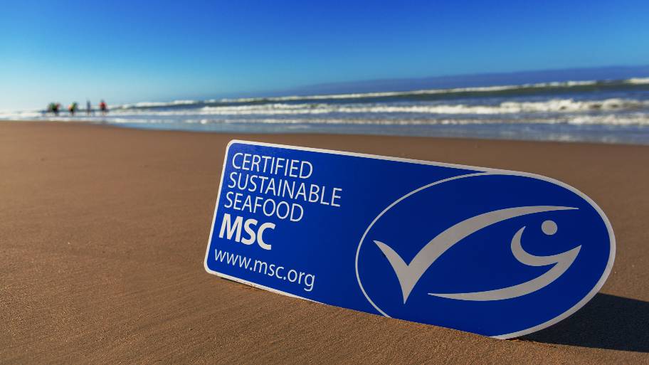 MSC blue fish label on beach
