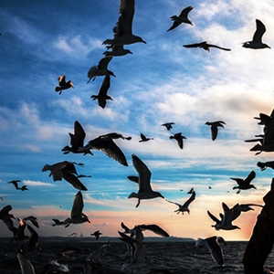 What is sustainable fishing?