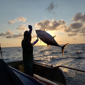Why Is Albacore Tuna a Top Sustainability Priority?