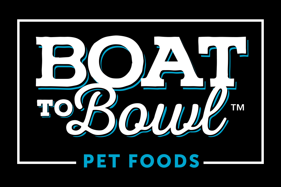Target cat food 2025 bowls
