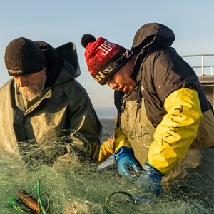 Cedar Lake Walleye and Northern Pike Fisheries