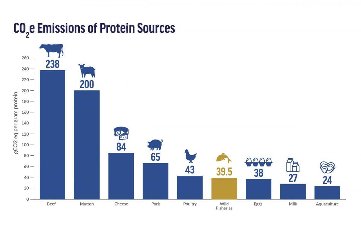 Graph of CO2 Emissions of Protein Sources from Oceana