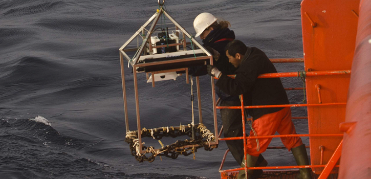 Mysteries of the deep