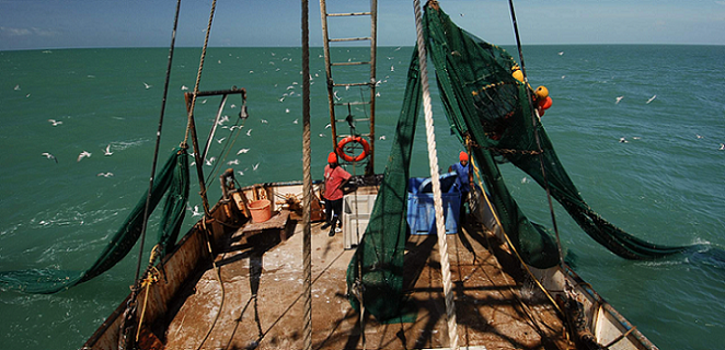 Suriname: The power of partnerships