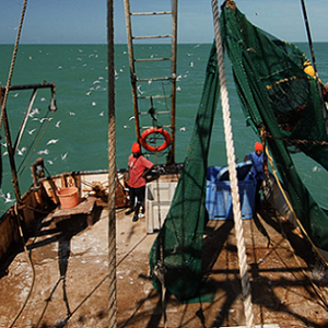 Back to Fishery Improvements