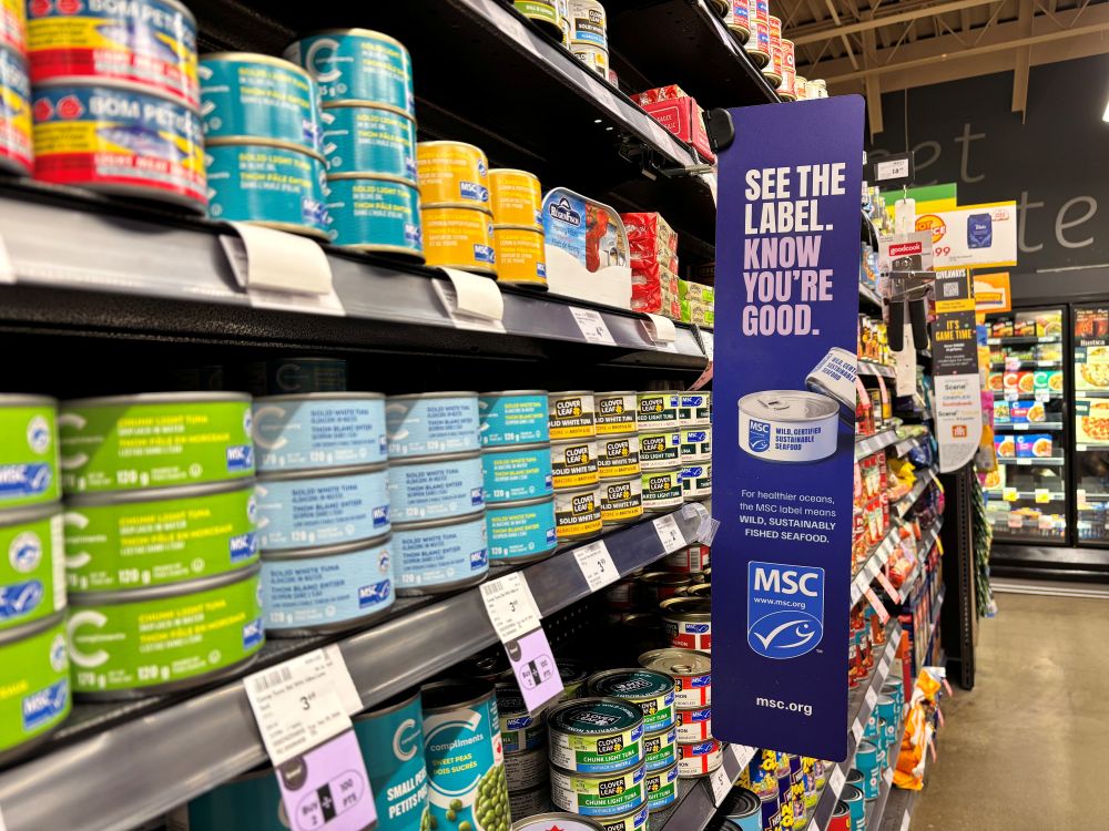 Can Canadians Still Afford Sustainable Seafood?