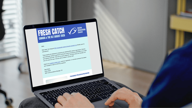 Subscribe to the MSC digest