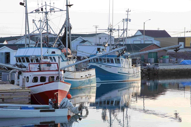 Blue fish label is key driver of sustainability in Canadian Fisheries