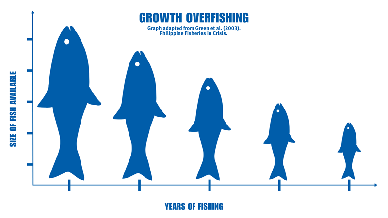 Graph Growth Overfishing Graphs of overfishing