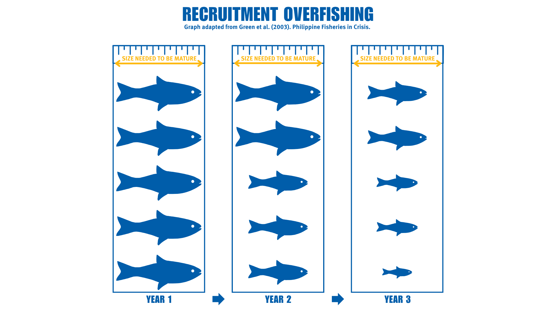 Graph showing recruitment overfishing