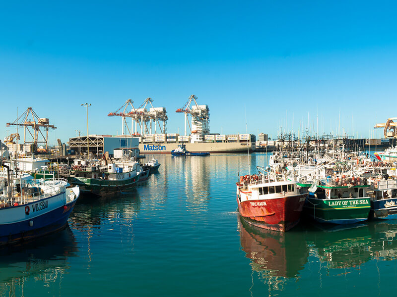 Boats docked in Hawaii