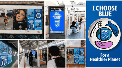 I choose blue-min Collage of MSC advertisements in bus stops and trains