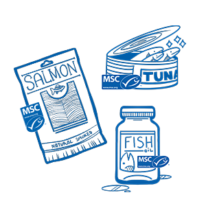 Blue line illustration of salmon, tuna, and fish oil supplement bottle with MSC blue fish label
