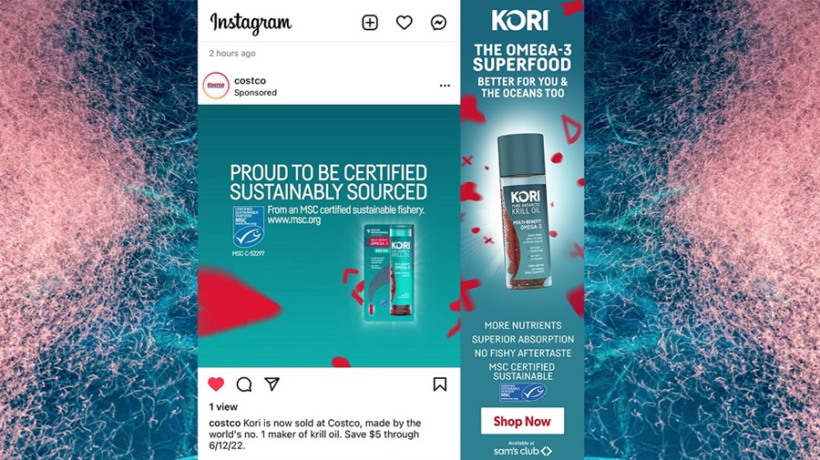 Kori Krill promotion