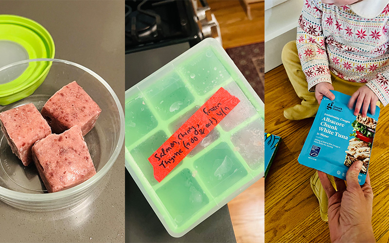 various images of homemade baby food puree