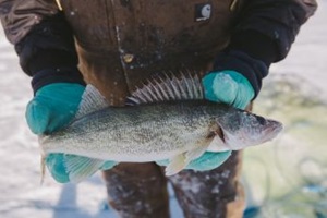 MikeSeehagel-MSC-HiRes-IMG_0584_small